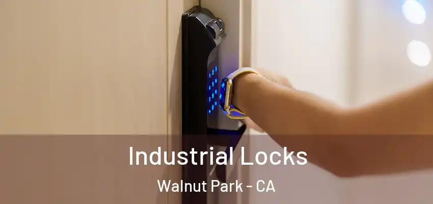  Industrial Locks Walnut Park - CA